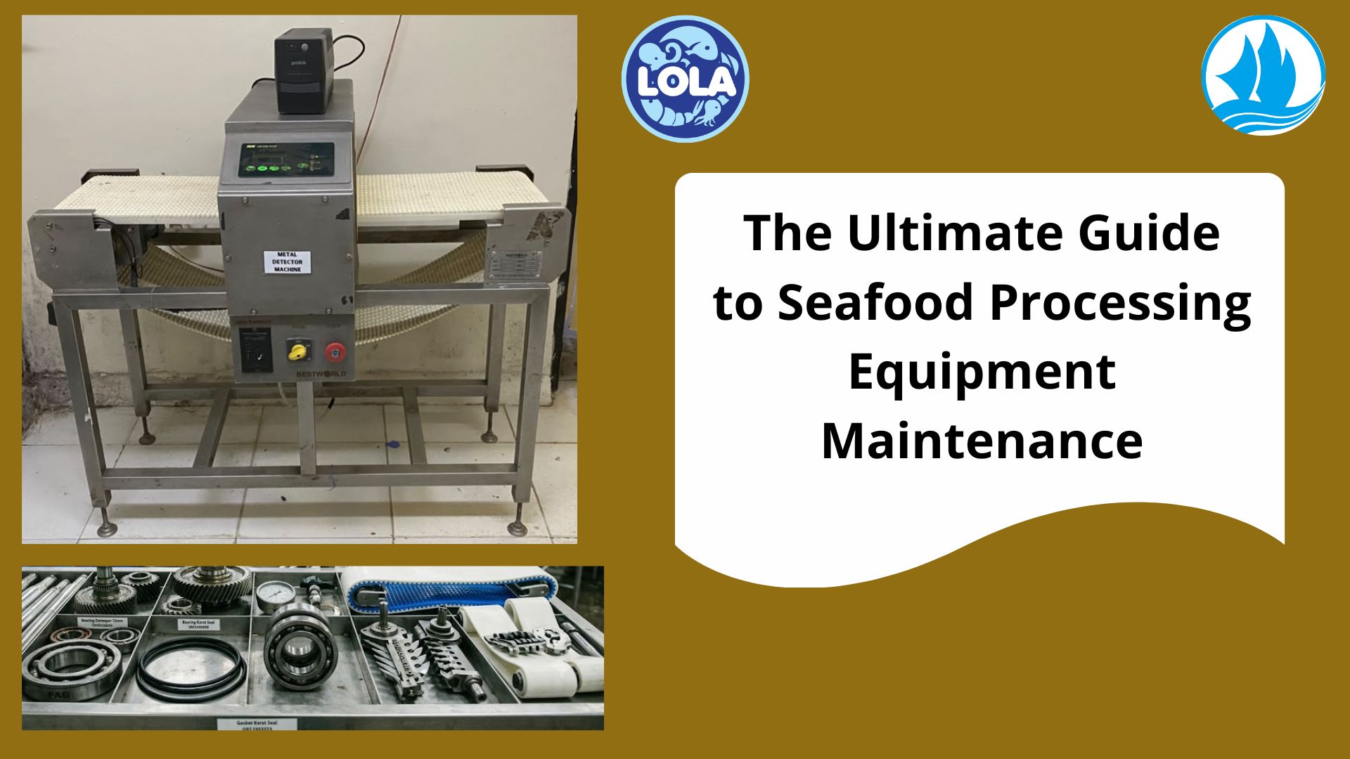  The Ultimate Guide to Seafood Processing Equipment Maintenance